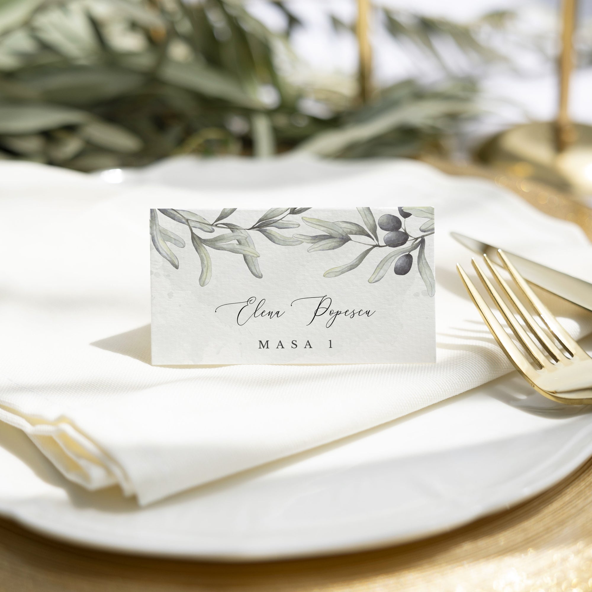 Invitatie nunta Olive Branch