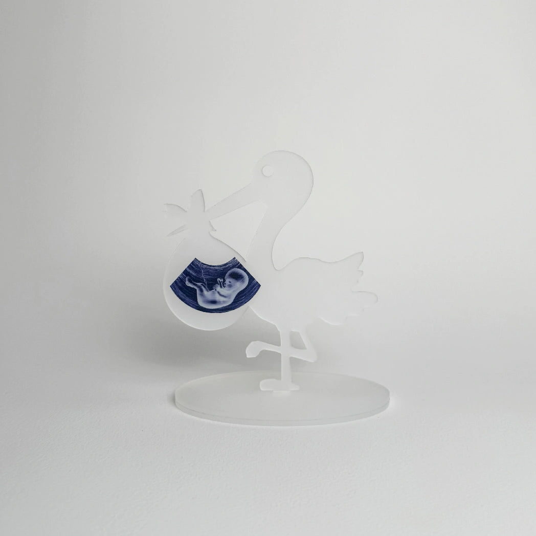 Figurina barza cadou original anunt sarcina personalizat – Diandra Events