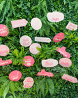 Set party pops personalizate pentru petreceri burlăcite, 20 de bucăți, expuse pe fundal verde, accesorii amuzante pentru candy bar și photo booth – Diandra Events